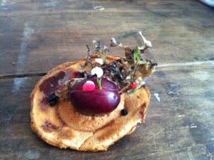 12039467_10153827497374245_2005769986500983707_n